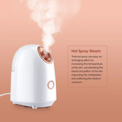 Mini Face Humidifier Atomizer - Pure Radiance Beauty